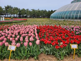 대지원님의 자유주제 · 자유게시판 작성글 사진