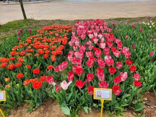 대지원님의 자유주제 · 자유게시판 작성글 사진