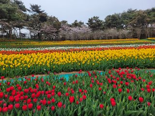 대지원님의 자유주제 · 자유게시판 작성글 사진