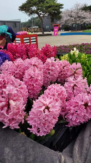 대지원님의 자유주제 · 자유게시판 작성글 사진