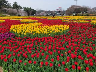 대지원님의 자유주제 · 자유게시판 작성글 사진