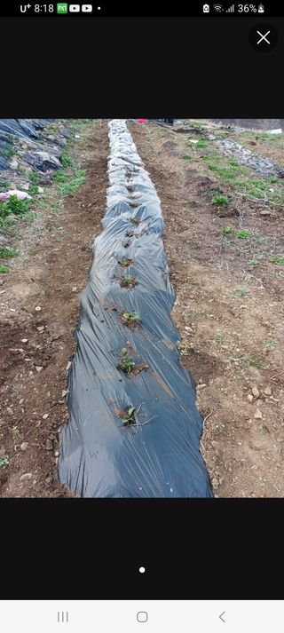 실로암농원님의 자유주제 · 자유게시판 작성글 사진