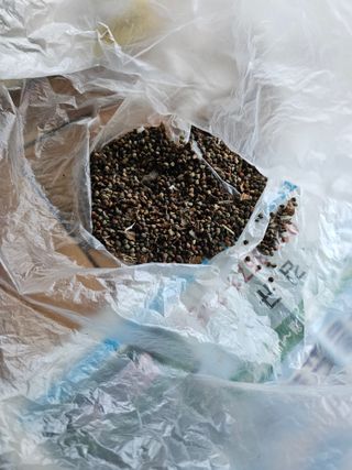 산삼님의 기타작물 · 영농일지 작성글 사진