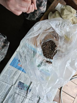 산삼님의 기타작물 · 영농일지 작성글 사진