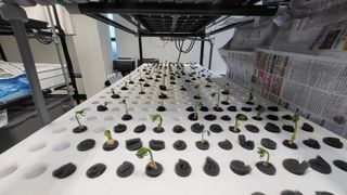 윤대권님의 상추 · 영농일지 작성글 사진