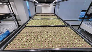 윤대권님의 상추 · 영농일지 작성글 사진