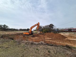 김동수님의 고구마 · 자유게시판 작성글 사진