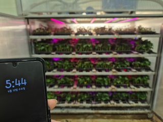 김동수님의 고구마 · 자유게시판 작성글 사진