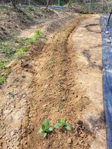 팜모닝 자유주제·자유게시판 게시글 이미지