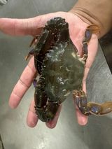 팜모닝 자유주제·자유게시판 게시글 이미지