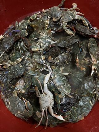 직송포유님의 자유주제 · 자유게시판 작성글 사진