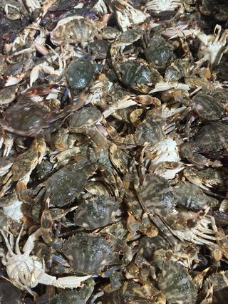 직송포유님의 자유주제 · 자유게시판 작성글 사진