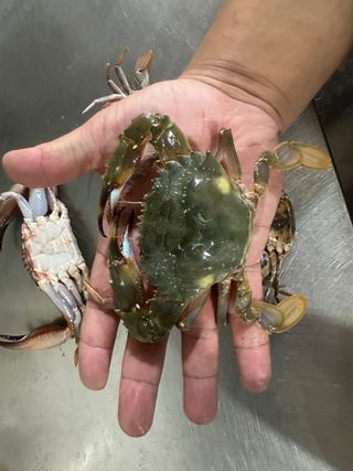 직송포유님의 자유주제 · 자유게시판 작성글 사진