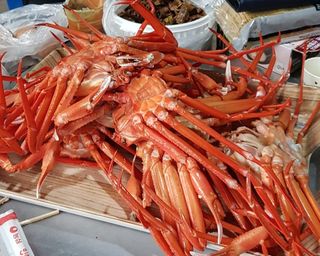 노가네수산님의 자유주제 · 사진전 작성글 사진