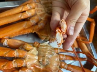 노가네수산님의 자유주제 · 사진전 작성글 사진