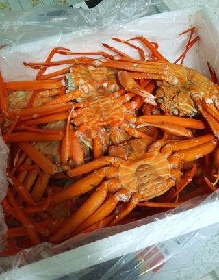 노가네수산님의 자유주제 · 사진전 작성글 사진