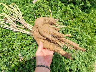 금동이네님의 자유주제 · 자유게시판 작성글 사진