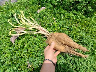 금동이네님의 자유주제 · 자유게시판 작성글 사진