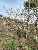 팜모닝 자유주제·칭찬해요 게시글 이미지