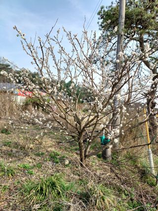 이용길님의 자유주제 · 칭찬해요 작성글 사진