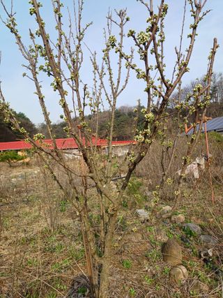이용길님의 자유주제 · 칭찬해요 작성글 사진