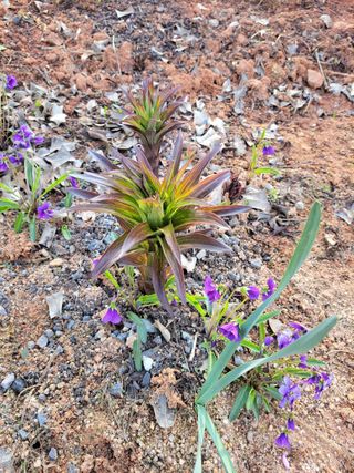 최효동님의 모임 반장님 칭찬해요 · 참여글 작성글 사진