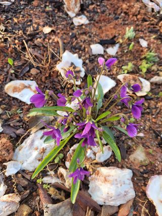 최효동님의 모임 반장님 칭찬해요 · 참여글 작성글 사진