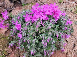 최효동님의 모임 반장님 칭찬해요 · 참여글 작성글 사진