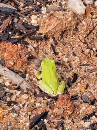 최효동님의 모임 반장님 칭찬해요 · 참여글 작성글 사진