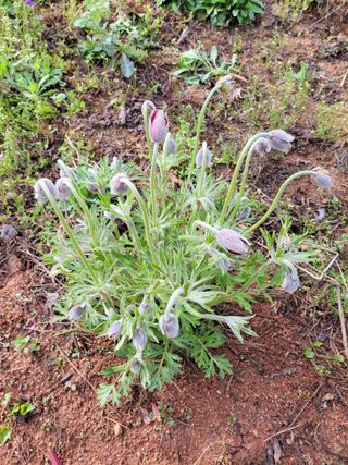 최효동님의 모임 반장님 칭찬해요 · 참여글 작성글 사진