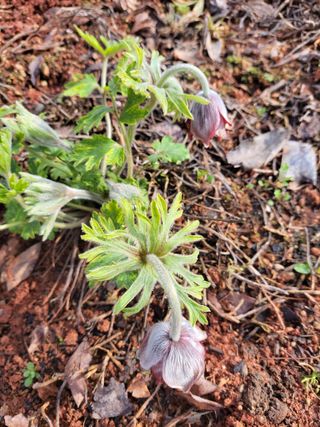최효동님의 모임 반장님 칭찬해요 · 참여글 작성글 사진