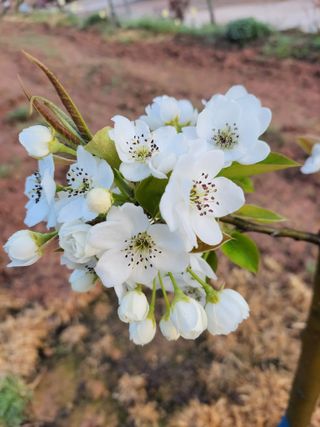 최효동님의 모임 반장님 칭찬해요 · 참여글 작성글 사진