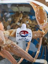 팜모닝 자유주제·사진전 게시글 이미지