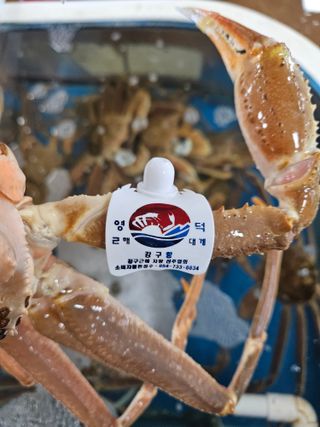 λ
Έκ°λ€μμ°λμ μμ μ£Όμ Β· μ¬μ§μ μμ±κΈ μ¬μ§