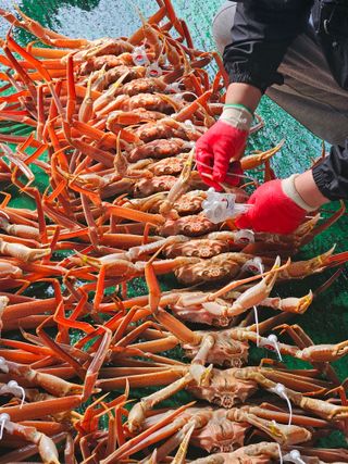 λ
Έκ°λ€μμ°λμ μμ μ£Όμ Β· μ¬μ§μ μμ±κΈ μ¬μ§