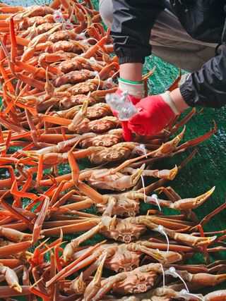 λ
Έκ°λ€μμ°λμ μμ μ£Όμ Β· μ¬μ§μ μμ±κΈ μ¬μ§