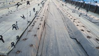 농업회사법인 마리아의 마음님의 기타작물 · 영농일지 작성글 사진