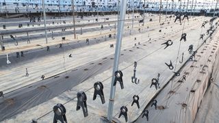 농업회사법인 마리아의 마음님의 기타작물 · 영농일지 작성글 사진