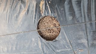 농업회사법인 마리아의 마음님의 기타작물 · 영농일지 작성글 사진