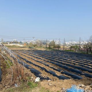 대장군님의 자유주제 · 자유게시판 작성글 사진