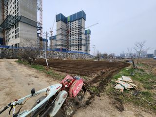 대장군님의 자유주제 · 자유게시판 작성글 사진