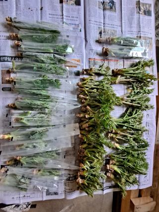 이상헌님의 작성글 사진