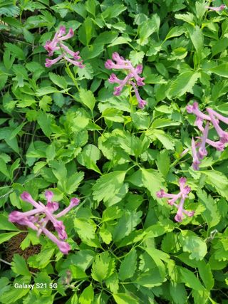 태ㅡㅡ양님의 자유주제 · 자유게시판 작성글 사진