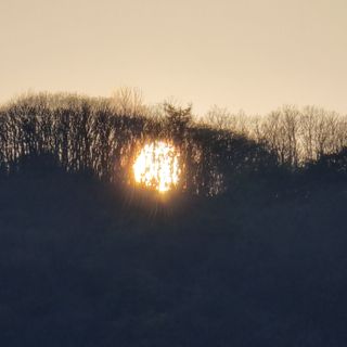 이종권님의 자유주제 · 자유게시판 작성글 사진