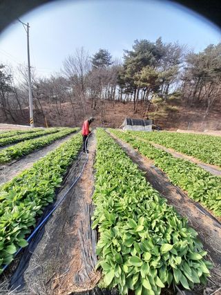 이종권님의 자유주제 · 자유게시판 작성글 사진