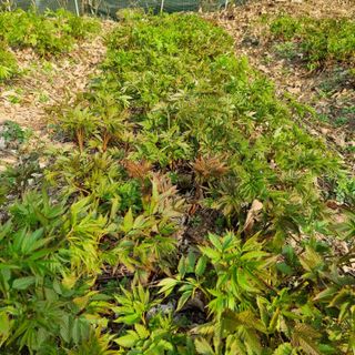 이종권님의 자유주제 · 자유게시판 작성글 사진