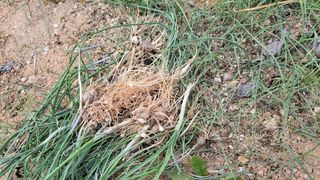 대파16548님의 자유주제 · 자유게시판 작성글 사진