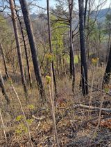 팜모닝 자유주제·자유게시판 게시글 이미지