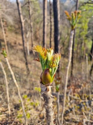 이찬암님의 자유주제 · 자유게시판 작성글 사진