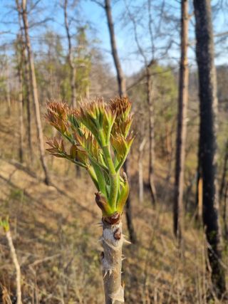 이찬암님의 자유주제 · 자유게시판 작성글 사진